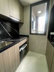 Irwell Hill Residences (D9), Apartment #453387421
